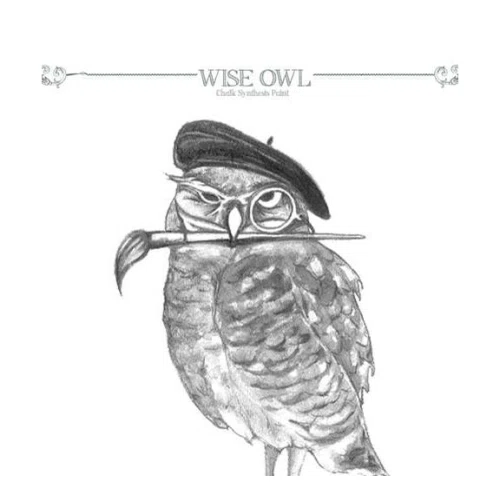 20 Off Wise Owl Paint Promo Code (1 Active) Jul '24