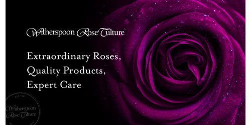 Witherspoon Rose Culture Promo Code