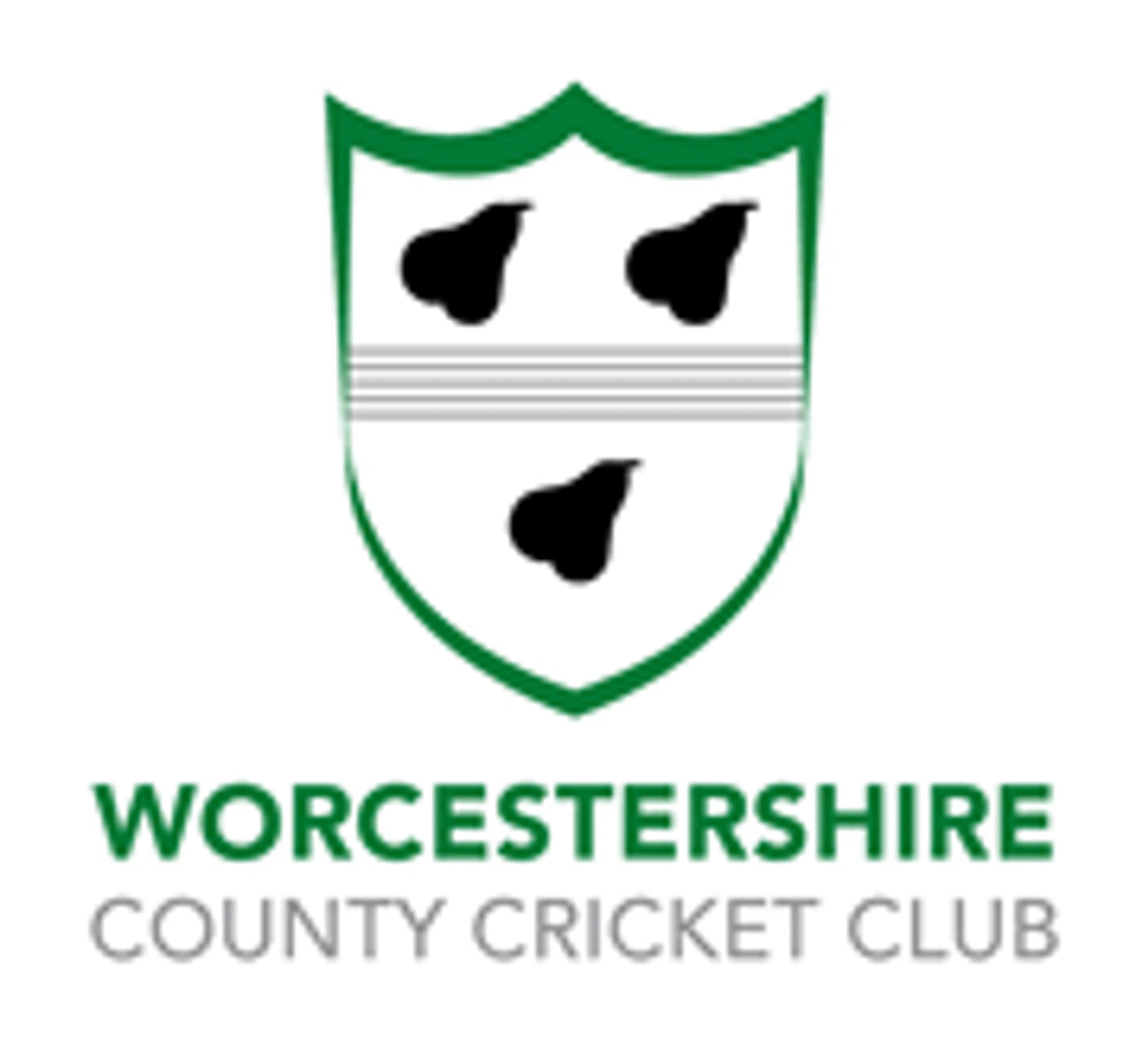Worcestershire CCC Promo Code