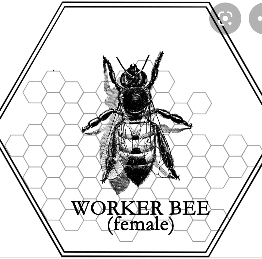 WORKER BEE CANDLE COMPANY Promo Code — 90 Off 2024