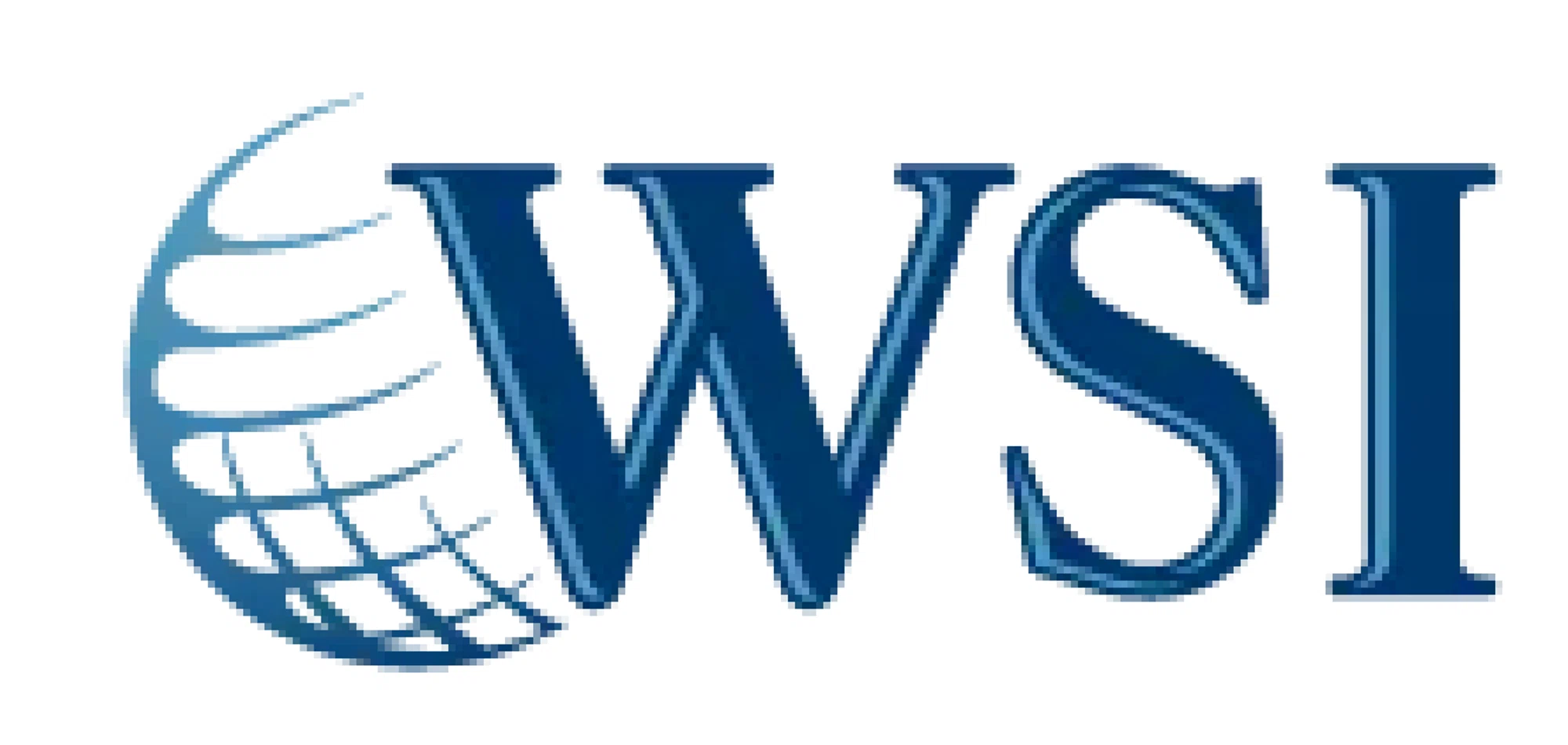 WSI Merchant Logo