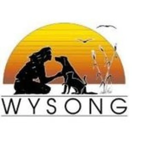 30 Off Wysong Promo Code Coupons 2 Active May 2024