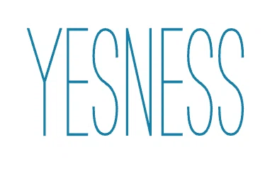 YESNESS Merchant Logo