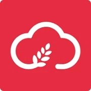 Yunmai Global Merchant Logo