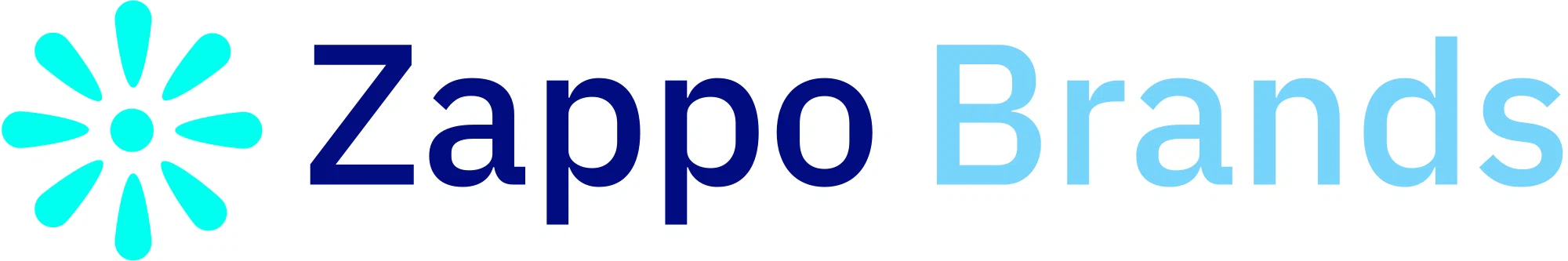 ZAPPO BRANDS Promo Code — 200 Off in Sep 2024