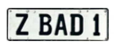 ZBAD1 coupons