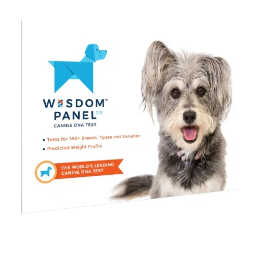 Animal DNA Diagnostics Wisdom Panel