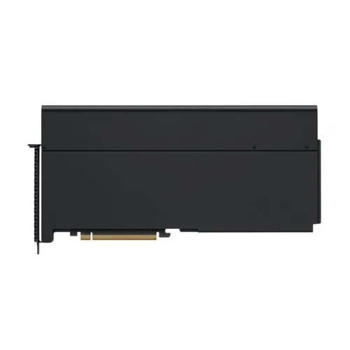 Apple Afterburner Card