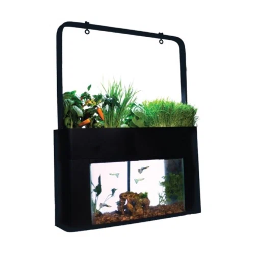 AquaSprouts Garden