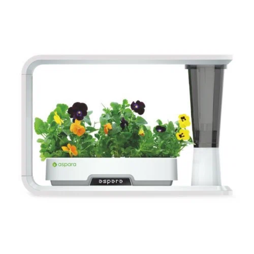 Aspara Hydroponic Grower