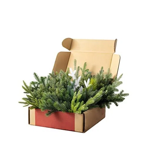 Balsam Hill Artificial Christmas Tree Branch Sample Kit
