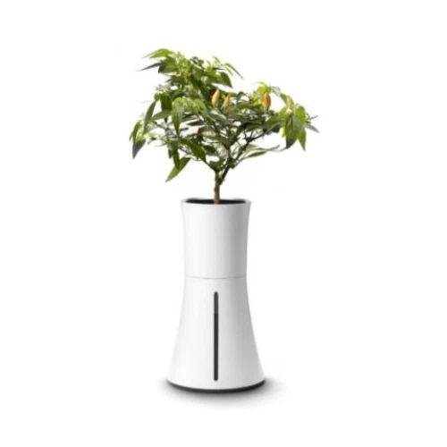 Botanium