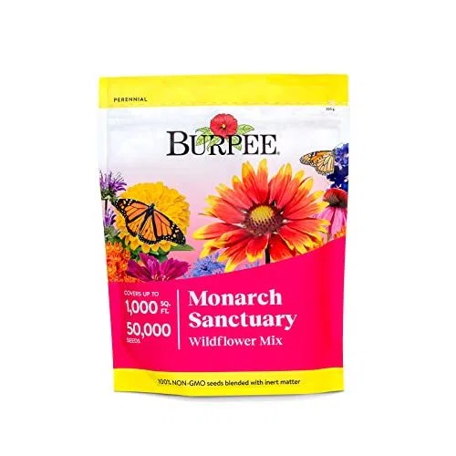 Burpee Monarch Sanctuary Wildflower Mix Seeds