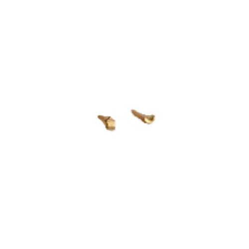 Caitlyn Minimalist Tiny Moon & Star Studs