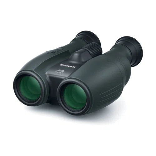 Canon 12 x 32 IS Binoculars