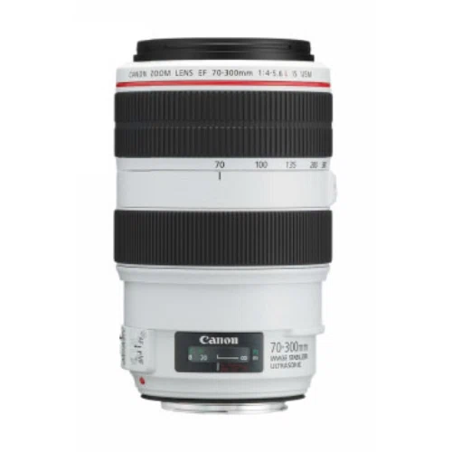 Canon EF 70-300mm f/4-5.6L IS USM Lens