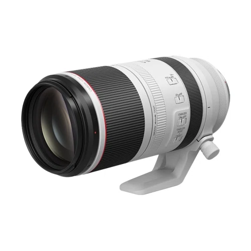 Canon RF100-500mm F4.5-7.1 L IS USM