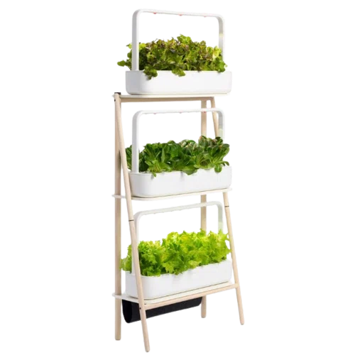 Click & Grow The Smart Garden 27