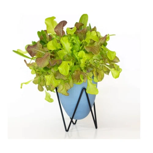 Coco and Seed EcoPlanter Hydroponic