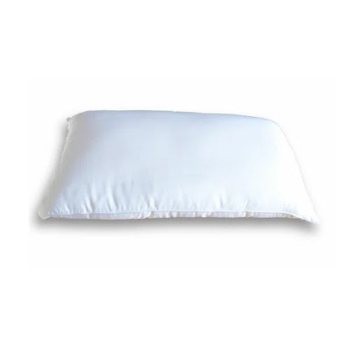 Cozy Earth Silk Pillow