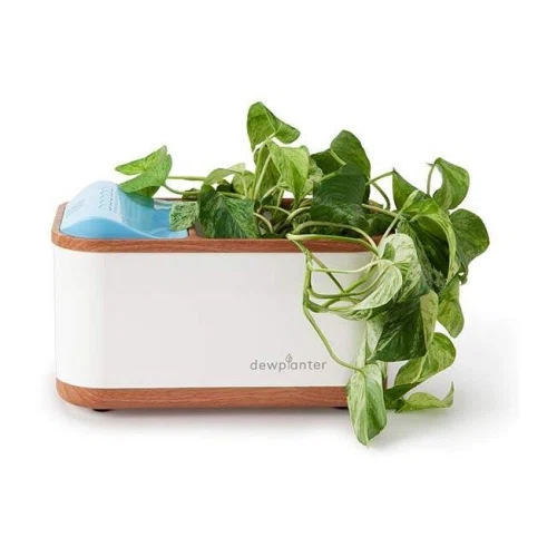 Dewplanter The Water Generating Planter