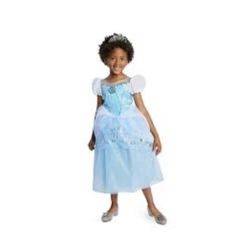 Disney Store Cinderella Costume