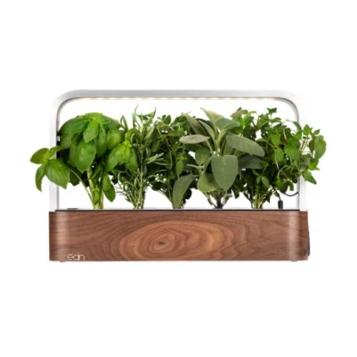 ēdn SmallGarden