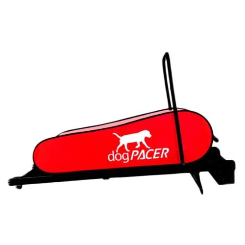 dogPACER LF 3.1 Treadmill