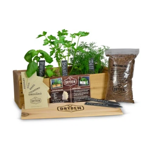 Dryden Trading Cedar Herb Box