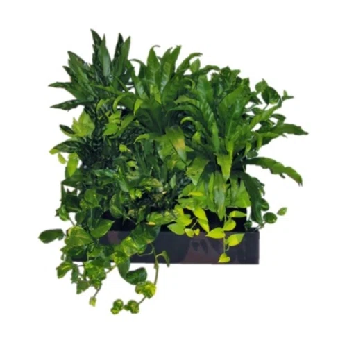Edible Walls Vertical Gardening Kit