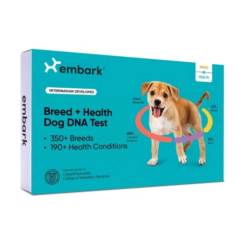 Embark Dog DNA Test