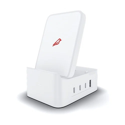 Fledging Spruce Charger