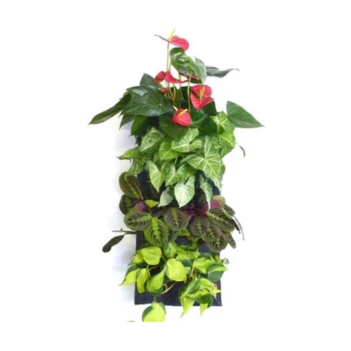 Florafelt Living Wall System