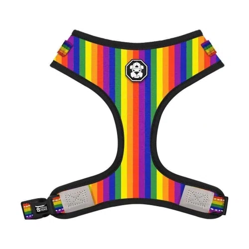 Fresh Pawz Pride Flag Adjustable Mesh Harness