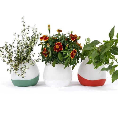 Gardyn Vase