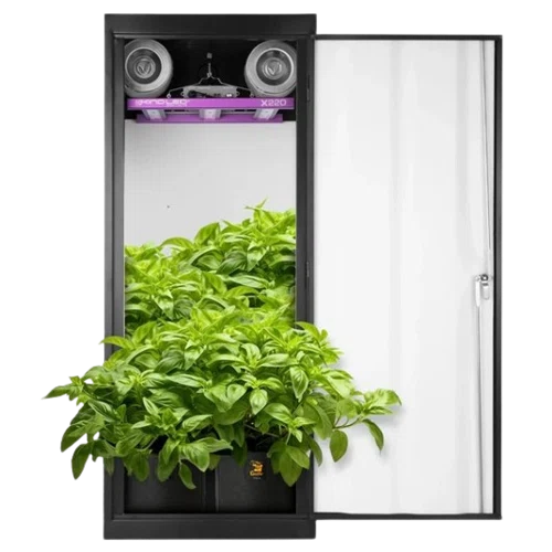 Gorilla Grow Box 24x24x60 
