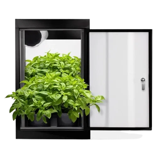 Gorilla Grow Box