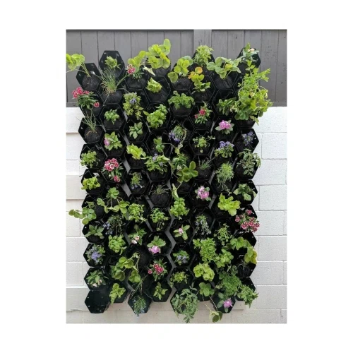 GrowUp Greenwalls Farmer Starter