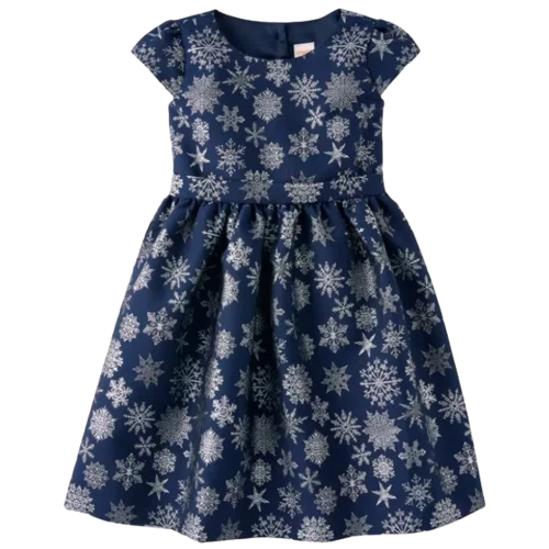 Gymboree Girls Snowflake Fit And Flare Dress