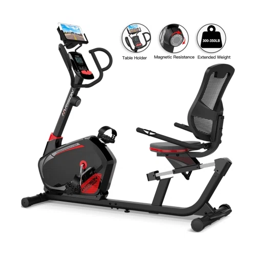 HARISON Recumbent Exercise Bike