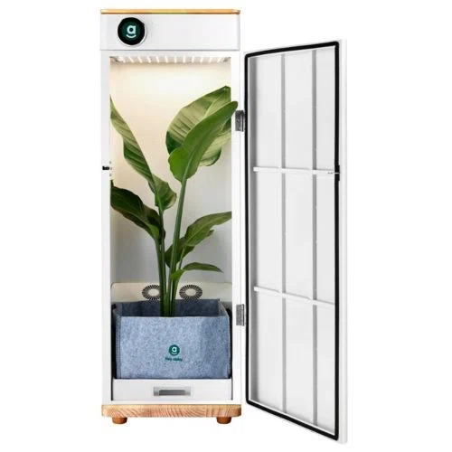 Hey Abby Automated Grow Box Soil Edition