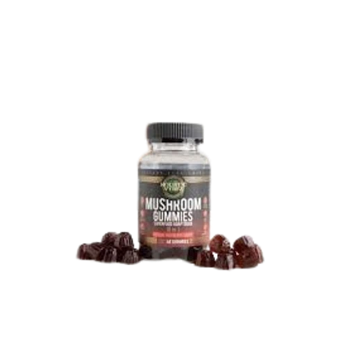HOLISTIC VYBEZ Mushroom Gummies 10 in 1 Superfood Adaptogen