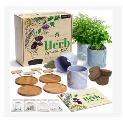Homegrown Garden Deluxe Herb Kit 