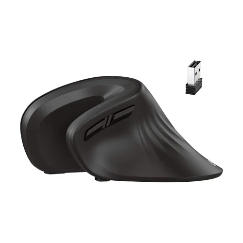 IClever TM209G Wireless Vertical Mouse