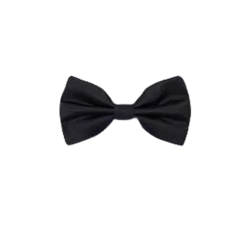 Indochino Black Silk Bow Tie