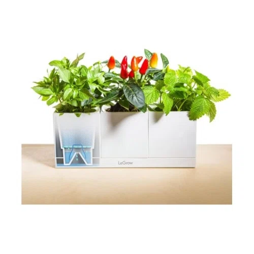 LeGrow TG C Cultivation