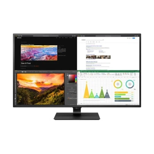 LG 43