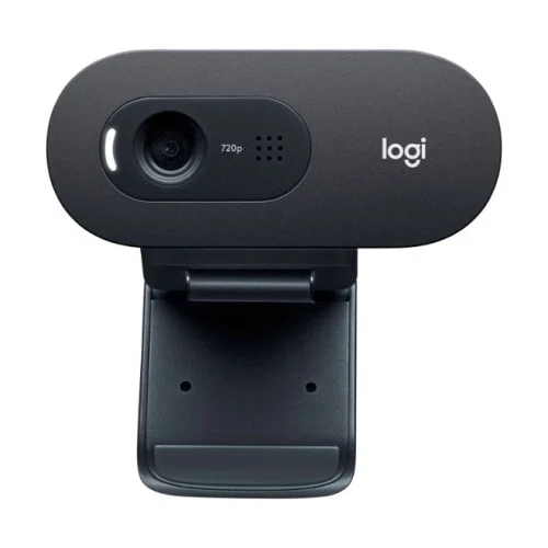 Logitech C505 HD Webcam