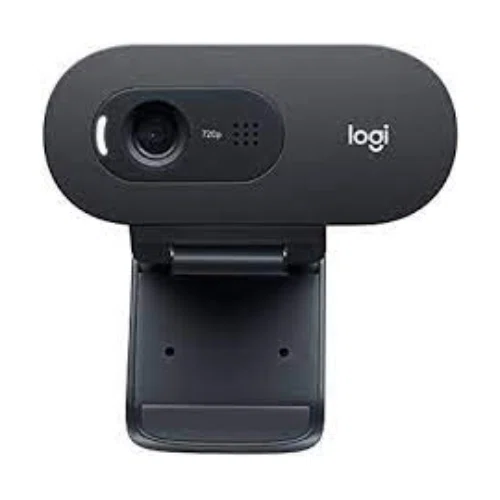 Logitech C505e