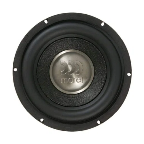 Morel Primo 124